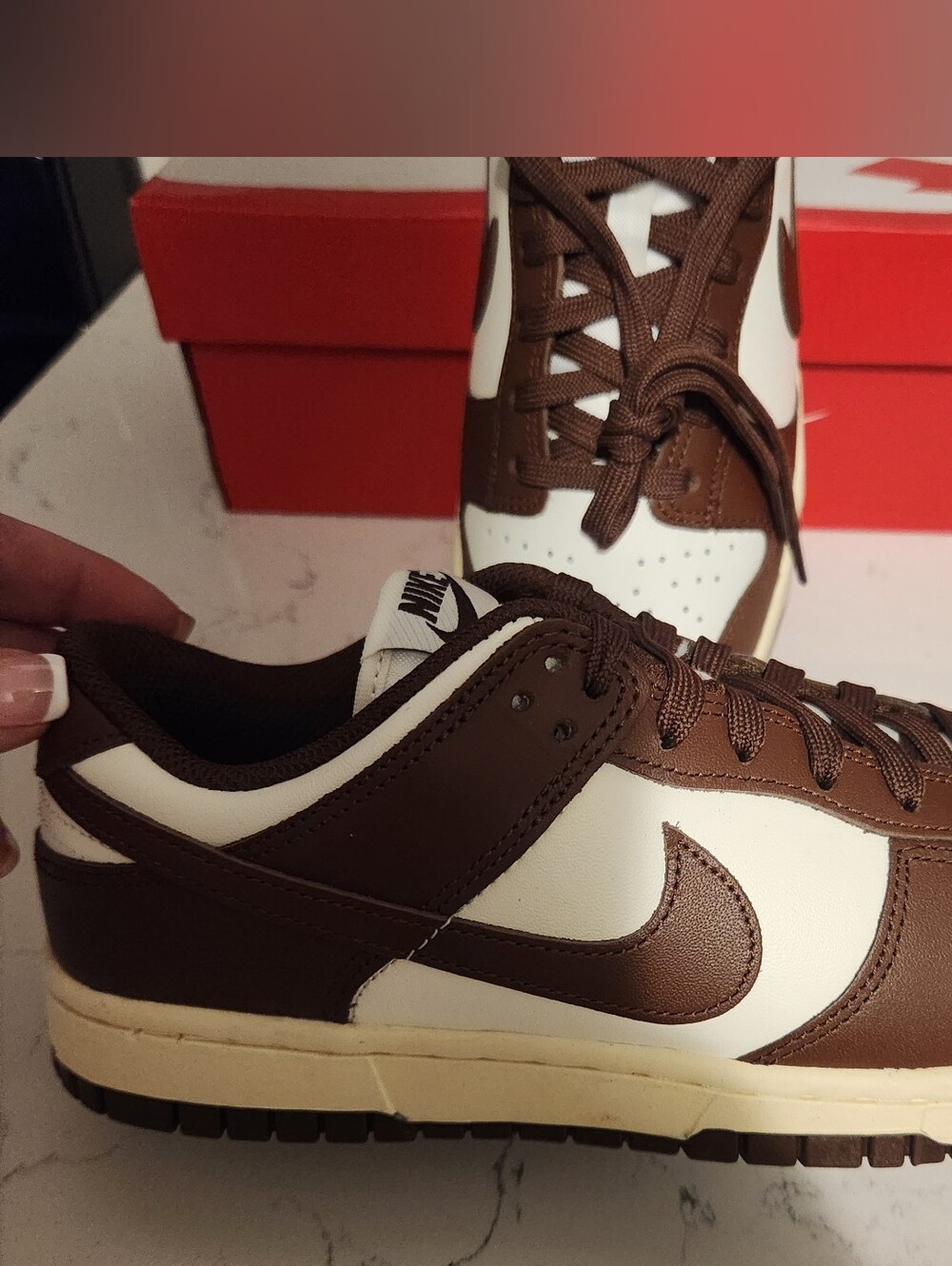 Womens Nike Brown and White Low-Top Dunk Sneakers 8.5